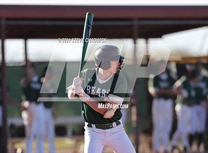 Thumbnail 2 in Hamilton @ Basha photogallery.