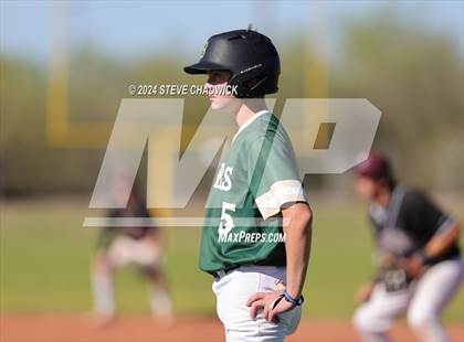 Thumbnail 2 in Hamilton @ Basha photogallery.