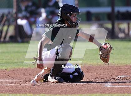 Thumbnail 2 in Hamilton @ Basha photogallery.