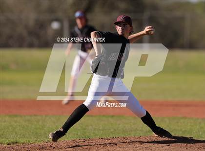 Thumbnail 3 in Hamilton @ Basha photogallery.