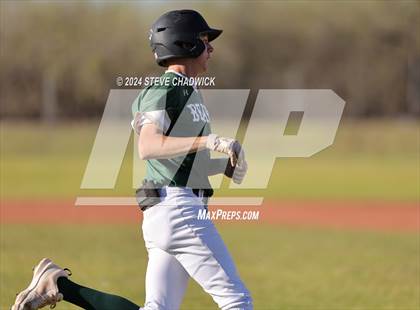 Thumbnail 2 in Hamilton @ Basha photogallery.