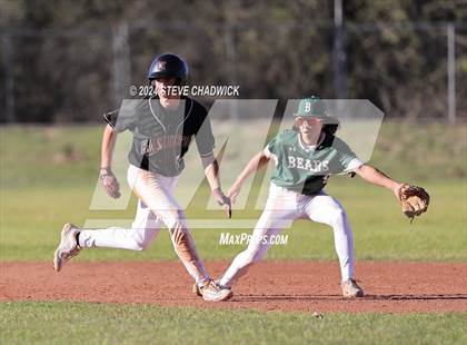 Thumbnail 2 in Hamilton @ Basha photogallery.