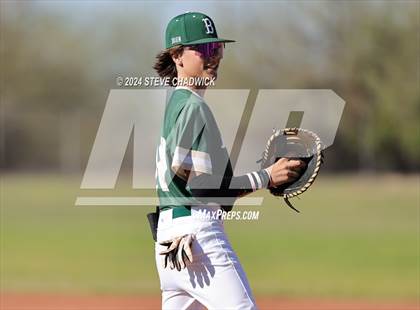 Thumbnail 2 in Hamilton @ Basha photogallery.