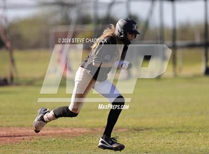 Thumbnail 2 in Hamilton @ Basha photogallery.