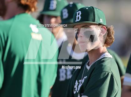 Thumbnail 3 in Hamilton @ Basha photogallery.