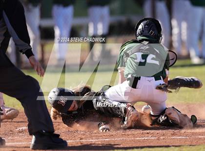 Thumbnail 3 in Hamilton @ Basha photogallery.
