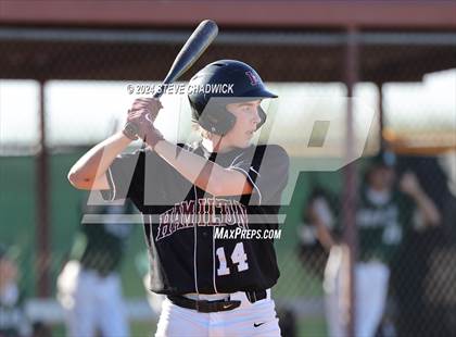 Thumbnail 2 in Hamilton @ Basha photogallery.