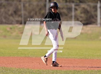 Thumbnail 2 in Hamilton @ Basha photogallery.