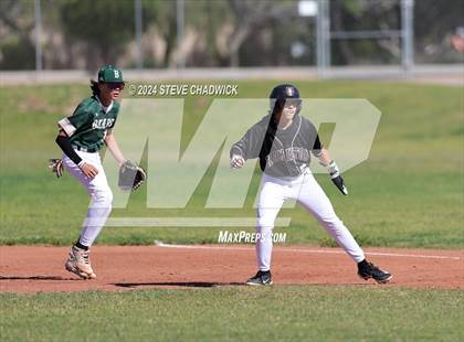 Thumbnail 3 in Hamilton @ Basha photogallery.