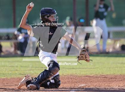 Thumbnail 3 in Hamilton @ Basha photogallery.