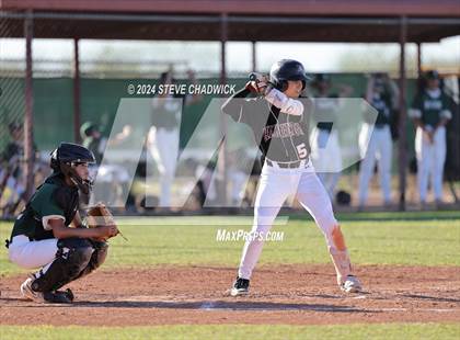 Thumbnail 1 in Hamilton @ Basha photogallery.