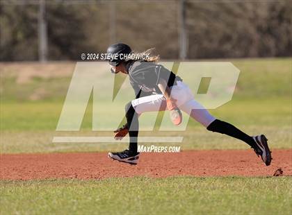 Thumbnail 3 in Hamilton @ Basha photogallery.