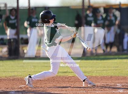 Thumbnail 3 in Hamilton @ Basha photogallery.