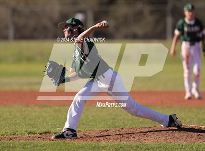 Thumbnail 3 in Hamilton @ Basha photogallery.