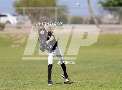 Thumbnail 3 in Hamilton @ Basha photogallery.
