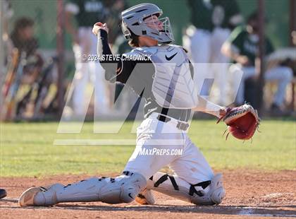 Thumbnail 1 in Hamilton @ Basha photogallery.