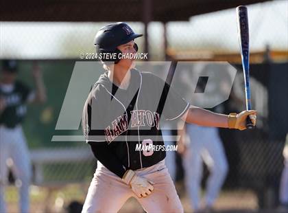 Thumbnail 3 in Hamilton @ Basha photogallery.