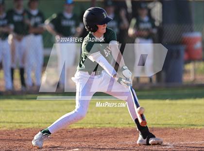 Thumbnail 3 in Hamilton @ Basha photogallery.