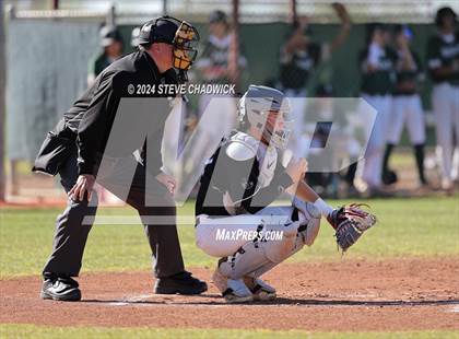 Thumbnail 2 in Hamilton @ Basha photogallery.