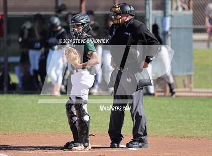 Thumbnail 1 in Hamilton @ Basha photogallery.