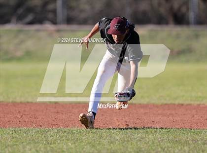 Thumbnail 3 in Hamilton @ Basha photogallery.