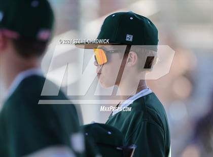 Thumbnail 2 in Hamilton @ Basha photogallery.