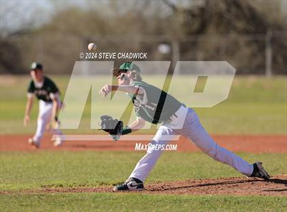 Thumbnail 2 in Hamilton @ Basha photogallery.