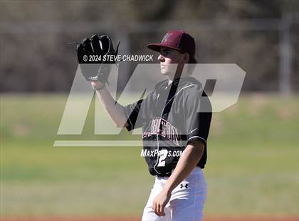 Thumbnail 3 in Hamilton @ Basha photogallery.