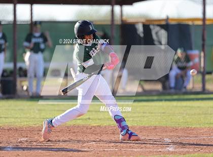 Thumbnail 2 in Hamilton @ Basha photogallery.