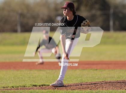 Thumbnail 2 in Hamilton @ Basha photogallery.