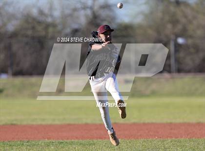 Thumbnail 1 in Hamilton @ Basha photogallery.