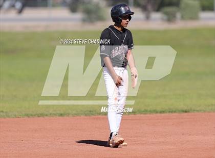 Thumbnail 2 in Hamilton @ Basha photogallery.