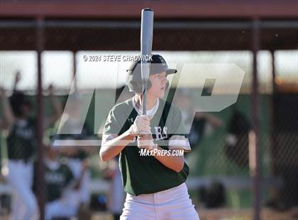 Thumbnail 3 in Hamilton @ Basha photogallery.