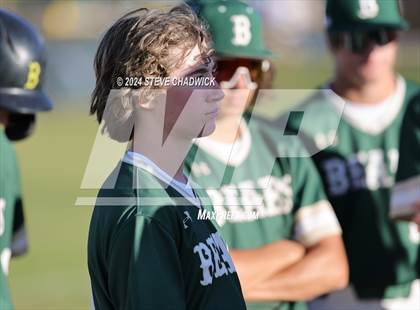 Thumbnail 1 in Hamilton @ Basha photogallery.