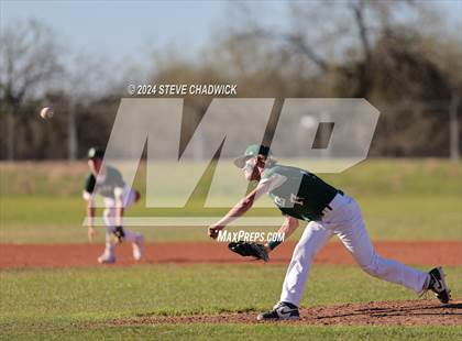 Thumbnail 3 in Hamilton @ Basha photogallery.