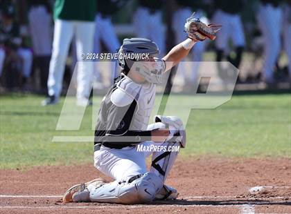Thumbnail 3 in Hamilton @ Basha photogallery.