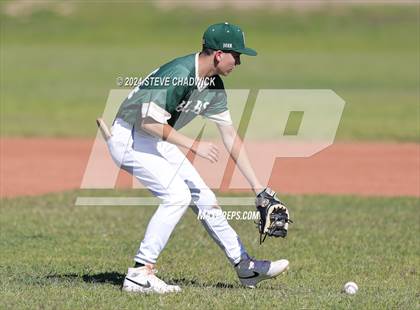 Thumbnail 2 in Hamilton @ Basha photogallery.