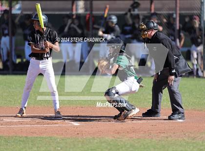 Thumbnail 2 in Hamilton @ Basha photogallery.