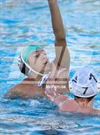 Photo from the gallery "Monterey Trail @ Laguna Creek"