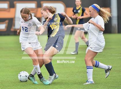Thumbnail 3 in Asheville Christian Academy vs. Christ the King (NCISAA 2A Final) photogallery.