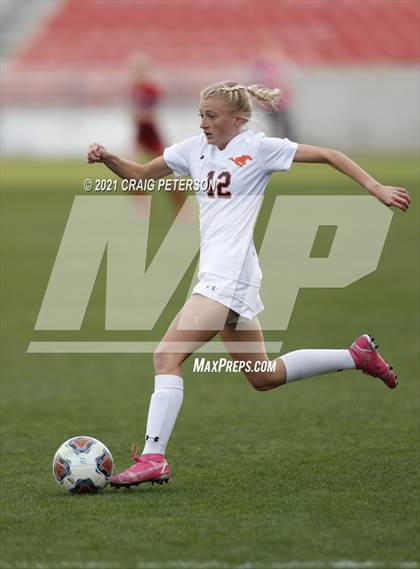 Thumbnail 2 in Crimson Cliffs vs. Mountain Crest (UHSAA 4A Final) photogallery.