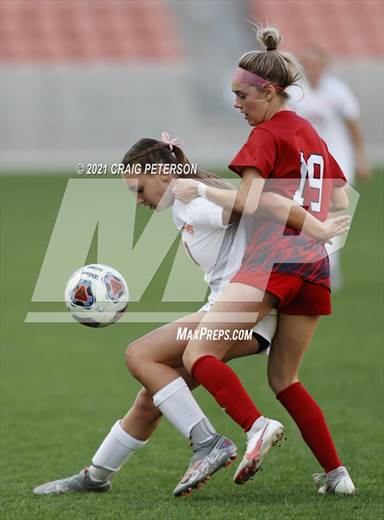 null - Photo 11