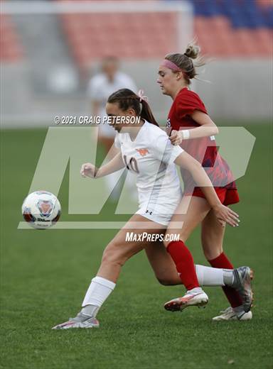 null - Photo 01