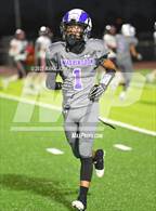 Photo from the gallery "Coconino @ Washington"