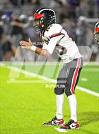 Photo from the gallery "Coconino @ Washington"