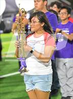 Photo from the gallery "Coconino @ Washington"