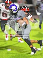 Photo from the gallery "Coconino @ Washington"