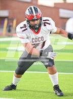 Photo from the gallery "Coconino @ Washington"