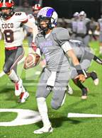 Photo from the gallery "Coconino @ Washington"