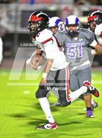 Photo from the gallery "Coconino @ Washington"